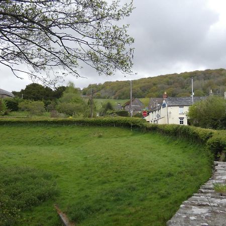 The Farmers Arms, Cwmdu Llanwddyn  Ngoại thất bức ảnh